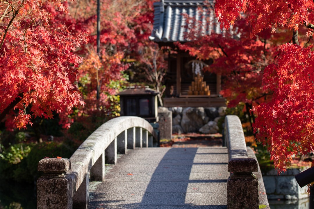 Coffee Etiquette in Japan: A Complete Guide to Kissaten Culture