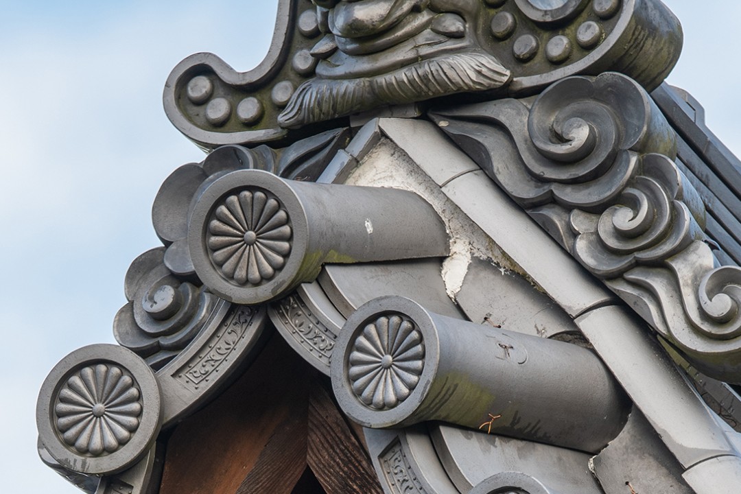 Siphon Coffee Brewing: The Complete Guide to Vacuum Pot Coffee